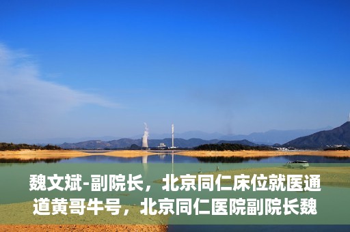 魏文斌-副院长，北京同仁床位就医通道黄哥牛号，北京同仁医院副院长魏文斌揭秘，床位就医通道背后的黄哥牛号故事