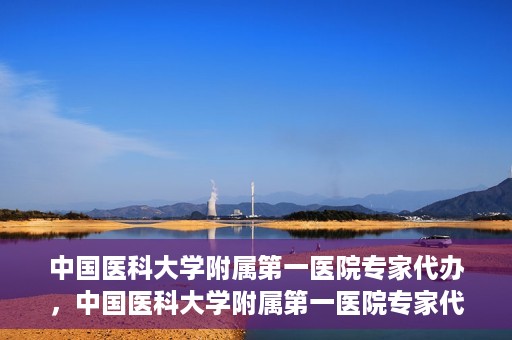 中国医科大学附属第一医院专家代办，中国医科大学附属第一医院专家代办服务详解