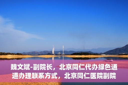 魏文斌-副院长，北京同仁代办绿色通道办理联系方式，北京同仁医院副院长魏文斌，绿色通道办理联系攻略及代办联系方式揭秘