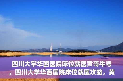 四川大学华西医院床位就医黄哥牛号，四川大学华西医院床位就医攻略，黄哥牛号引领就医新风尚