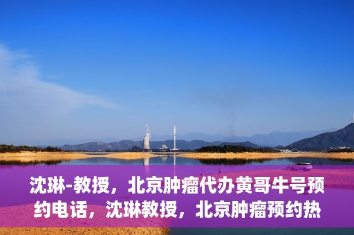 沈琳-教授，北京肿瘤代办黄哥牛号预约电话，沈琳教授，北京肿瘤预约热线解读及黄哥牛号预约电话揭秘