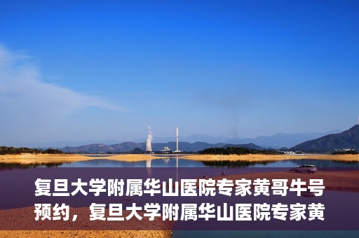 复旦大学附属华山医院专家黄哥牛号预约，复旦大学附属华山医院专家黄哥牛号预约攻略解析