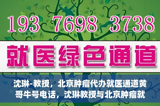 沈琳-教授，北京肿瘤代办就医通道黄哥牛号电话，沈琳教授与北京肿瘤就医通道，黄哥牛号电话背后的故事