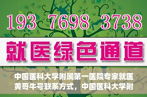 中国医科大学附属第一医院专家就医黄哥牛号联系方式，中国医科大学附属第一医院专家黄哥牛号联系方式及就医指南