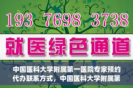 中国医科大学附属第一医院专家预约代办联系方式，中国医科大学附属第一医院专家预约挂号代办服务联系方式解析