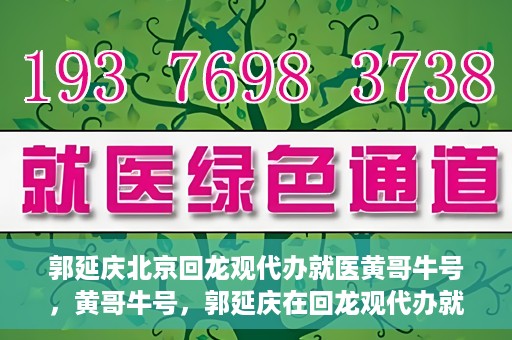 郭延庆北京回龙观代办就医黄哥牛号，黄哥牛号，郭延庆在回龙观代办就医的便捷之路