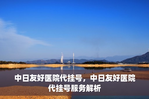 中日友好医院代挂号，中日友好医院代挂号服务解析