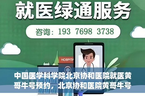 中国医学科学院北京协和医院就医黄哥牛号预约，北京协和医院黄哥牛号预约攻略，就医指南与医学权威体验