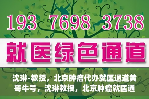 沈琳-教授，北京肿瘤代办就医通道黄哥牛号，沈琳教授，北京肿瘤就医通道背后的黄哥牛号传奇