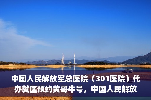 中国人民解放军总医院（301医院）代办就医预约黄哥牛号，中国人民解放军总医院（301医院）黄哥牛号就医预约代办服务解析