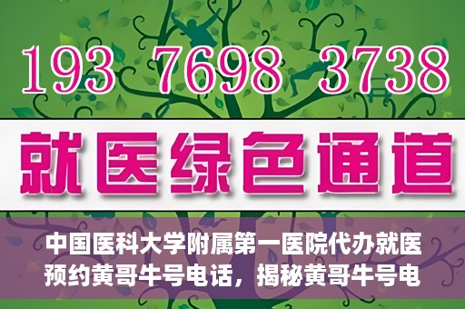 中国医科大学附属第一医院代办就医预约黄哥牛号电话，揭秘黄哥牛号电话，中国医科大学附属第一医院预约就医代办服务详解