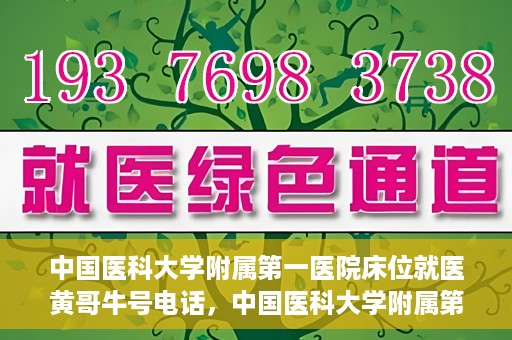 中国医科大学附属第一医院床位就医黄哥牛号电话，中国医科大学附属第一医院床位就医咨询黄哥牛号专线电话揭秘