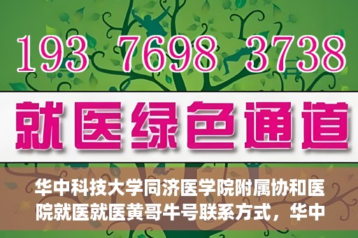 华中科技大学同济医学院附属协和医院就医就医黄哥牛号联系方式，华中科技大学同济医学院附属协和医院就医指南，黄哥牛号联系方式揭秘
