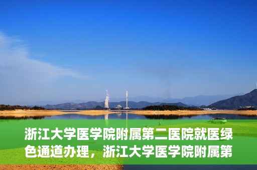 浙江大学医学院附属第二医院就医绿色通道办理，浙江大学医学院附属第二医院就医绿色通道办理详解与指南