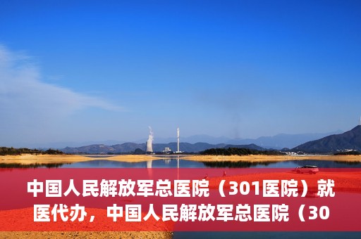 中国人民解放军总医院（301医院）就医代办，中国人民解放军总医院（301医院）就医代办服务详解