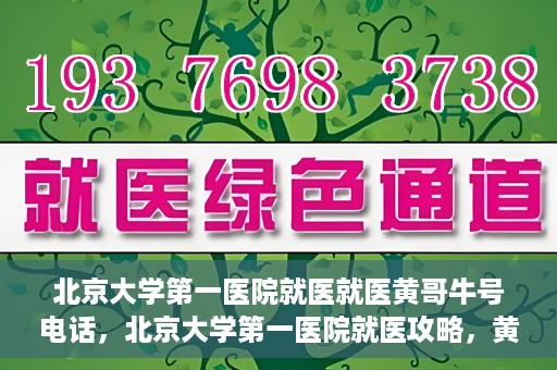 北京大学第一医院就医就医黄哥牛号电话，北京大学第一医院就医攻略，黄哥牛号电话一键预约挂号服务