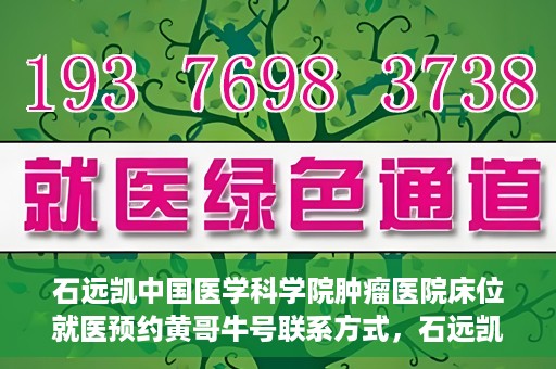 石远凯中国医学科学院肿瘤医院床位就医预约黄哥牛号联系方式，石远凯教授，中国医学科学院肿瘤医院床位预约指南与联系方式揭秘