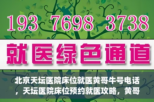 北京天坛医院床位就医黄哥牛号电话，天坛医院床位预约就医攻略，黄哥牛号电话全解析