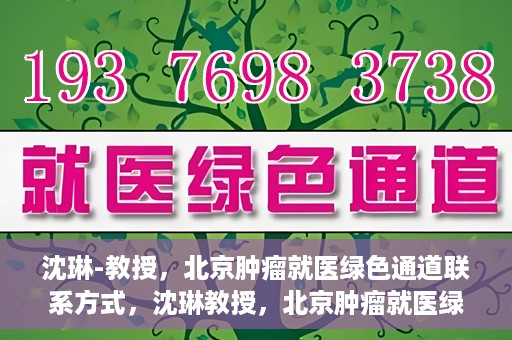 沈琳-教授，北京肿瘤就医绿色通道联系方式，沈琳教授，北京肿瘤就医绿色通道的联系通道及其实用指南