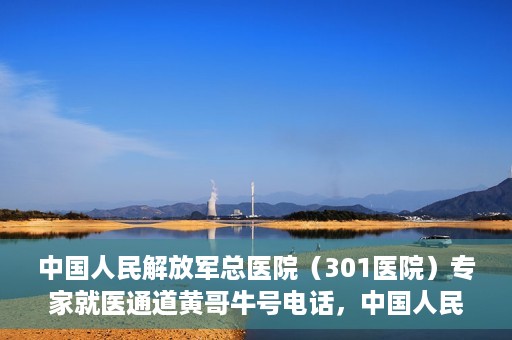 中国人民解放军总医院（301医院）专家就医通道黄哥牛号电话，中国人民解放军总医院（301医院）专家就医通道热线电话揭秘，黄哥牛号助您快速预约专家号