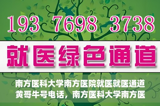 南方医科大学南方医院就医就医通道黄哥牛号电话，南方医科大学南方医院就医通道详解，黄哥牛号电话一键通预约就医服务