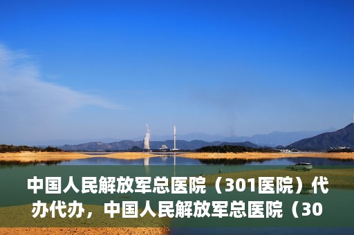 中国人民解放军总医院（301医院）代办代办，中国人民解放军总医院（301医院）代办业务详解，专业代办，高效便捷服务
