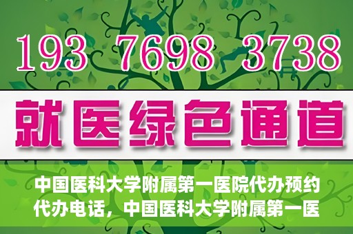 中国医科大学附属第一医院代办预约代办电话，中国医科大学附属第一医院预约代办服务热线详解