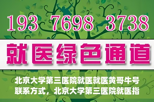 北京大学第三医院就医就医黄哥牛号联系方式，北京大学第三医院就医指南，黄哥牛号联系方式揭秘