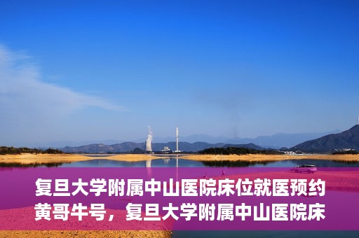 复旦大学附属中山医院床位就医预约黄哥牛号，复旦大学附属中山医院床位预约攻略，黄哥牛号助您轻松就医