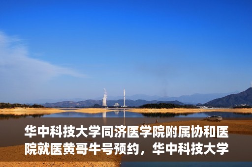 华中科技大学同济医学院附属协和医院就医黄哥牛号预约，华中科技大学同济医学院附属协和医院就医黄哥牛号预约攻略解析