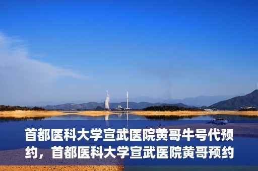 首都医科大学宣武医院黄哥牛号代预约，首都医科大学宣武医院黄哥预约代挂号服务解析