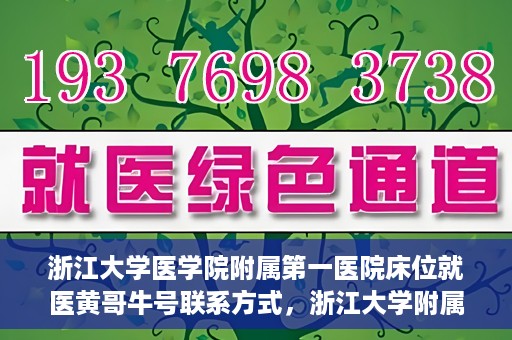 浙江大学医学院附属第一医院床位就医黄哥牛号联系方式，浙江大学附属第一医院床位就医指南，黄哥牛号联系方式揭秘