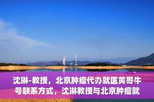 沈琳-教授，北京肿瘤代办就医黄哥牛号联系方式，沈琳教授与北京肿瘤就医黄哥牛号，联系方式揭秘