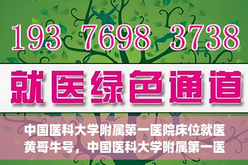 中国医科大学附属第一医院床位就医黄哥牛号，中国医科大学附属第一医院床位就医攻略，黄哥牛号助您轻松挂号就医