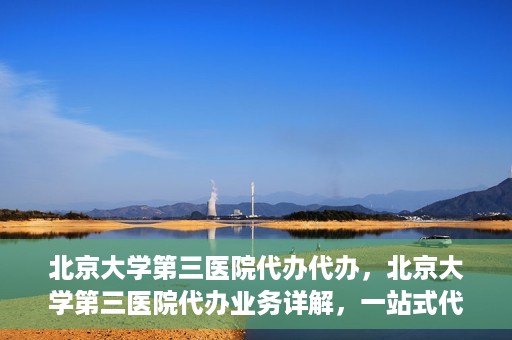 北京大学第三医院代办代办，北京大学第三医院代办业务详解，一站式代办服务助力就医无忧