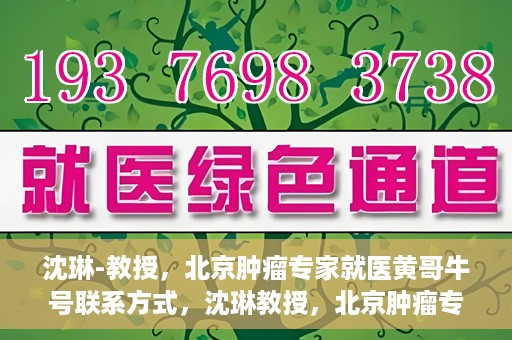 沈琳-教授，北京肿瘤专家就医黄哥牛号联系方式，沈琳教授，北京肿瘤专家就医联系方式及黄哥牛号揭秘