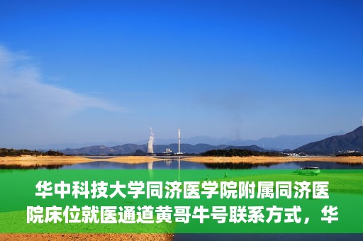华中科技大学同济医学院附属同济医院床位就医通道黄哥牛号联系方式，华中科技大学同济医院床位就医通道，黄哥牛号联系方式揭秘