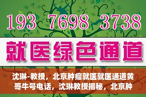 沈琳-教授，北京肿瘤就医就医通道黄哥牛号电话，沈琳教授揭秘，北京肿瘤就医通道牛号电话与就医攻略