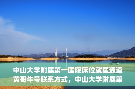 中山大学附属第一医院床位就医通道黄哥牛号联系方式，中山大学附属第一医院床位就医通道，黄哥牛号联系方式全解析
