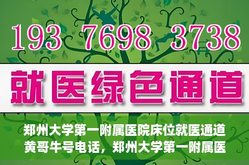 郑州大学第一附属医院床位就医通道黄哥牛号电话，郑州大学第一附属医院床位就医通道，黄哥牛号电话背后的就医故事探索