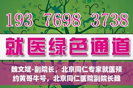 魏文斌-副院长，北京同仁专家就医预约黄哥牛号，北京同仁医院副院长魏文斌，专家预约背后的故事与黄哥牛号揭秘