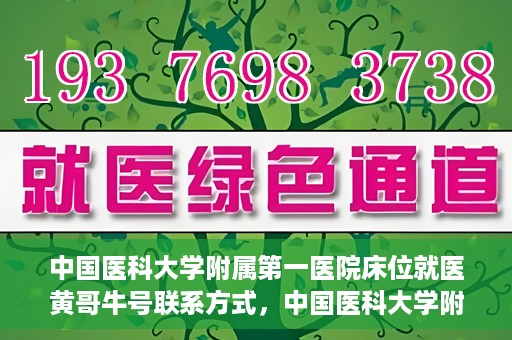 中国医科大学附属第一医院床位就医黄哥牛号联系方式，中国医科大学附属第一医院床位就医信息，黄哥牛号联系方式揭秘