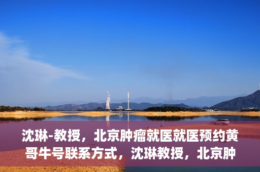 沈琳-教授，北京肿瘤就医就医预约黄哥牛号联系方式，沈琳教授，北京肿瘤就医预约秘籍与黄哥牛号联系方式揭秘