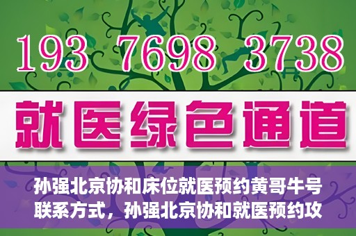 孙强北京协和床位就医预约黄哥牛号联系方式，孙强北京协和就医预约攻略，床位预约、联系方式全解析