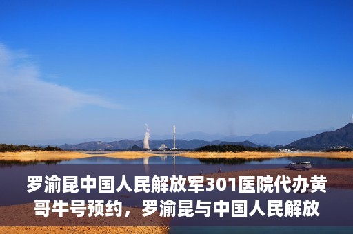 罗渝昆中国人民解放军301医院代办黄哥牛号预约，罗渝昆与中国人民解放军301医院预约挂号背后的故事，黄哥牛号预约代办揭秘