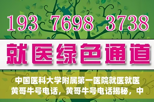 中国医科大学附属第一医院就医就医黄哥牛号电话，黄哥牛号电话揭秘，中国医科大学附属第一医院就医指南与就医体验分享