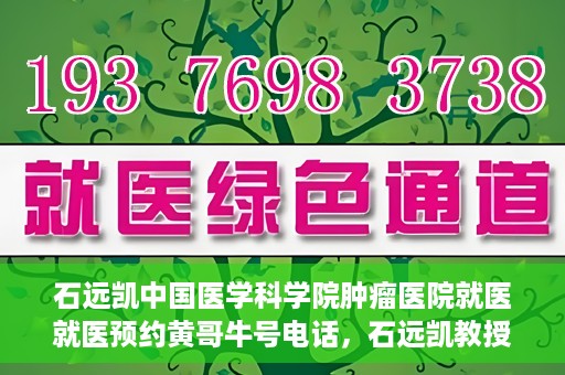石远凯中国医学科学院肿瘤医院就医就医预约黄哥牛号电话，石远凯教授，中国医学科学院肿瘤医院预约挂号攻略及黄哥牛号联系电话揭秘