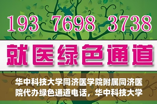 华中科技大学同济医学院附属同济医院代办绿色通道电话，华中科技大学同济医院绿色通道电话代办服务，便捷就医新通道解读