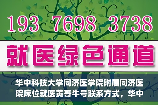 华中科技大学同济医学院附属同济医院床位就医黄哥牛号联系方式，华中科技大学同济医院床位就医信息及黄哥牛号联系方式揭秘