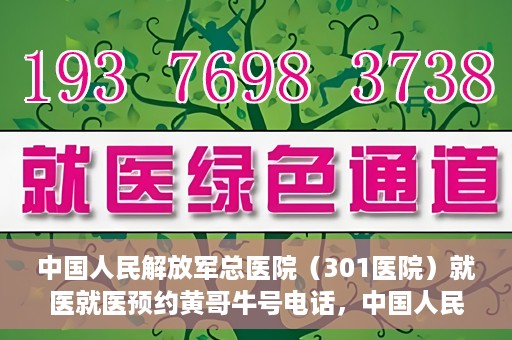 中国人民解放军总医院（301医院）就医就医预约黄哥牛号电话，中国人民解放军总医院（301医院）黄哥就医预约热线电话全攻略
